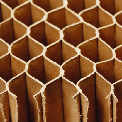 Paper & Cardboard